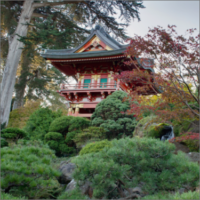 Japanese Tea Garden