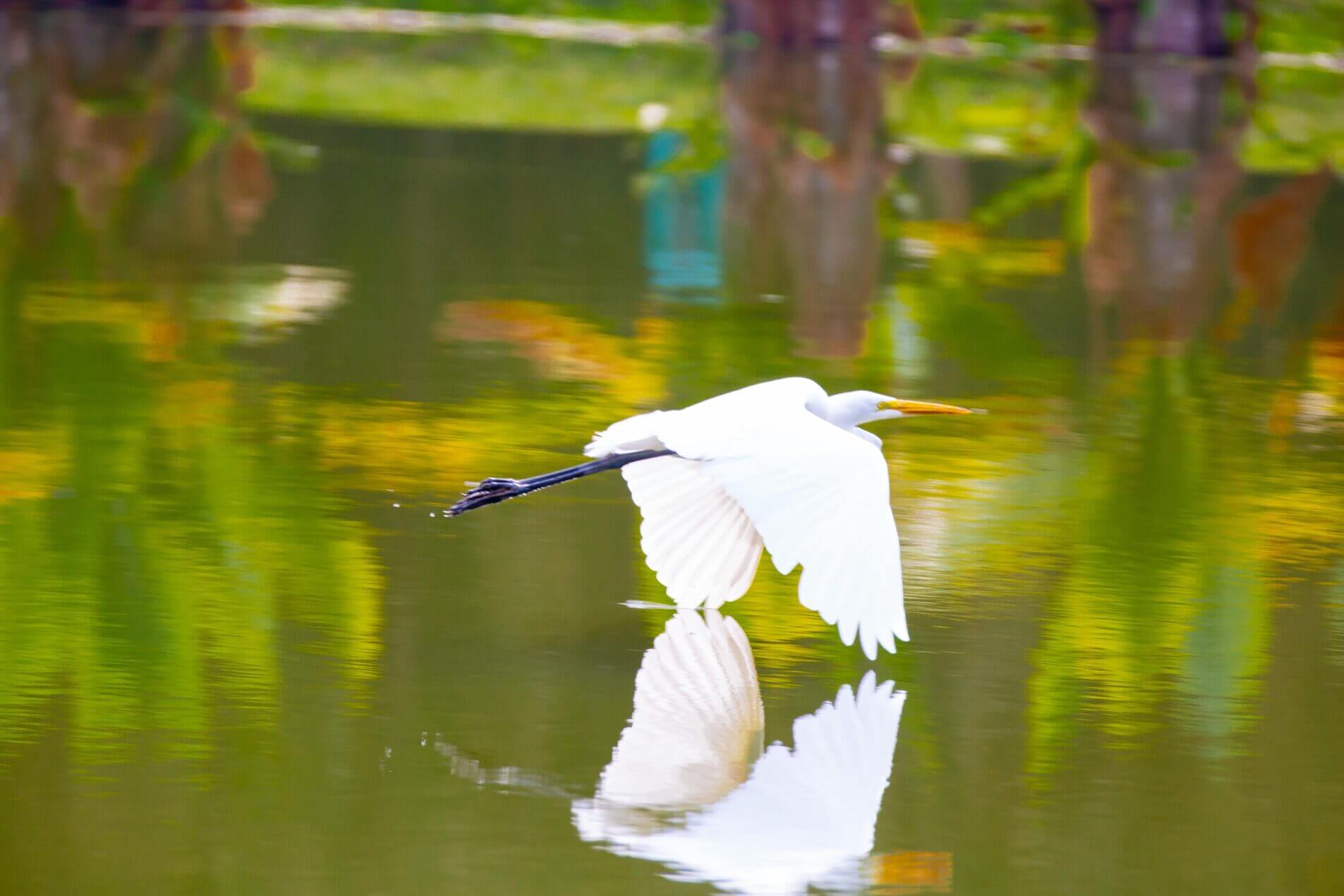 Heron's Head Park