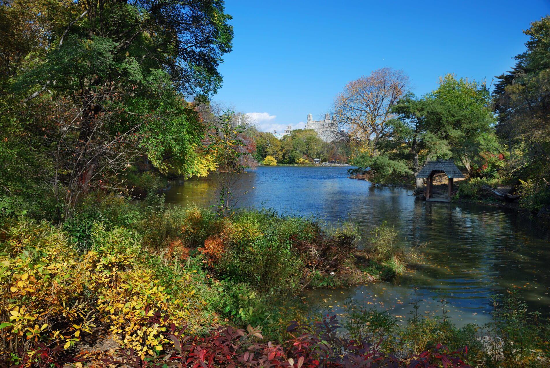 Stow Lake